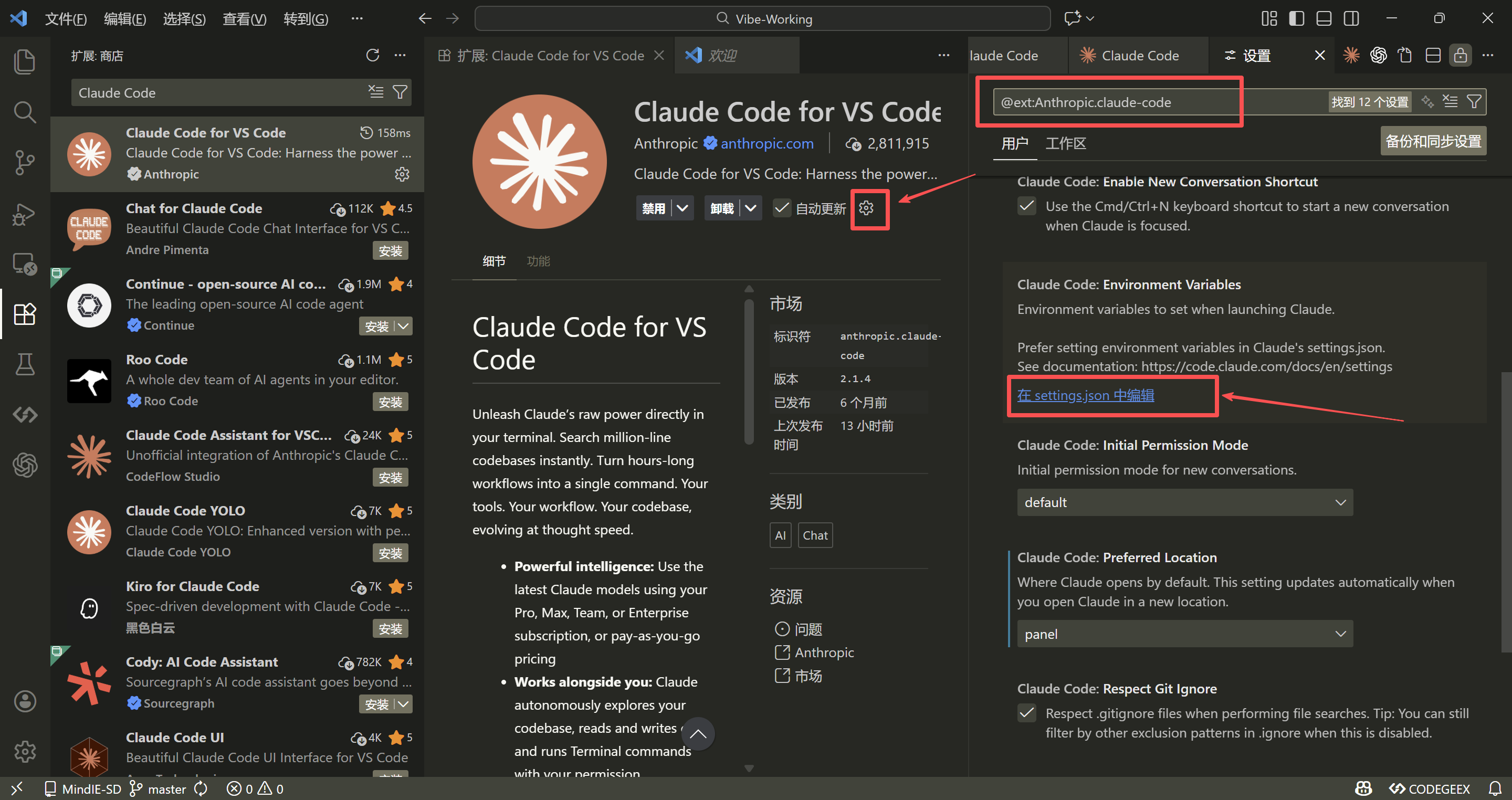 settings.json 配置示例